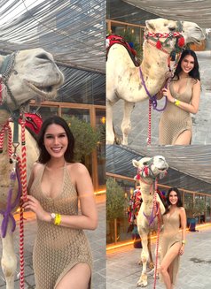 Bella beautiful ladyboy good bottom🦋 - Acompañantes transexual in Khobar Photo 30 of 30