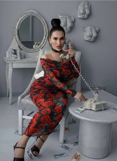 🇷🇺Bella🇷🇺 - Transsexual escort in Baku Photo 15 of 18