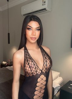 Bella big dick hard top 17 cm A lot cum - Transsexual escort in Riyadh Photo 21 of 24