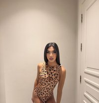 Bella big dick ‍ - Acompañantes transexual in Riyadh