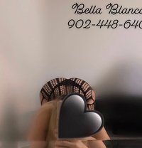 Bella Blanca - escort in Halifax