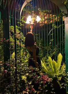 🪬🧿BELLA🧿🪬both/top - Transsexual escort in Khobar Photo 15 of 15