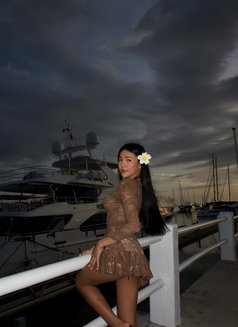 Bella Bottom Sweet ladyboy - Transsexual escort in Busan Photo 28 of 29