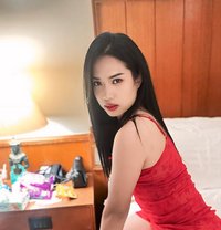 Bella Boy - Transsexual escort in Al Sohar