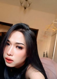 Bella Boy - Transsexual escort in Al Sohar Photo 9 of 10