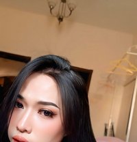 Bella Boy - Transsexual escort in Al Sohar