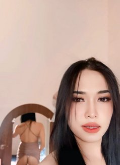 Bella Boy - Transsexual escort in Al Sohar Photo 13 of 13