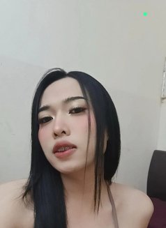 Bella Boy - Transsexual escort in Al Sohar Photo 8 of 17