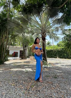 Bella Cifuentes, Black Queen 🇨🇴 - Acompañantes transexual in Dubai Photo 21 of 28