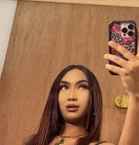 Bella - Transsexual escort in Manila