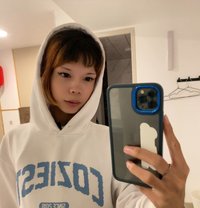 Bella - Transsexual escort in Manila