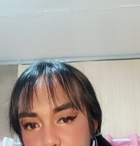 Bella - Transsexual escort in Manila