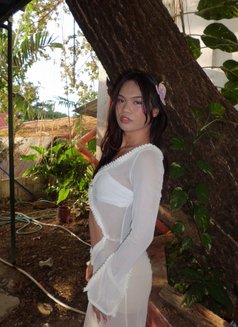 Bella - Transsexual escort in Quezon Photo 1 of 3