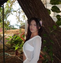 Bella - Transsexual escort in Quezon