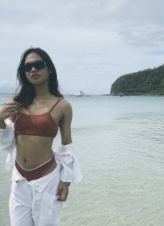 Bella - Transsexual escort in Quezon Photo 3 of 3