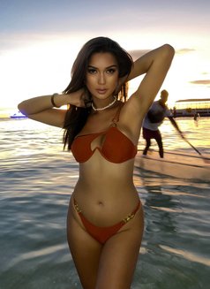 Bella - Transsexual escort in Singapore Photo 13 of 13