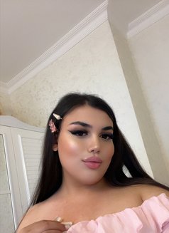 bella from Azerbaijan🇦🇿 - Acompañantes transexual in Baku Photo 11 of 14
