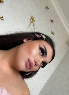 bella from Azerbaijan🇦🇿 - Acompañantes transexual in Baku Photo 12 of 14