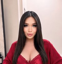 Bella - Acompañantes transexual in Jeddah