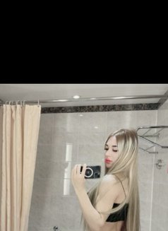 BELLA HOT FIRST TIME - Transsexual escort in Al Manama Photo 12 of 13