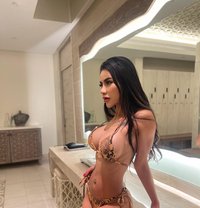 Bella in Dubai 🇹🇭 - escort in Dubai