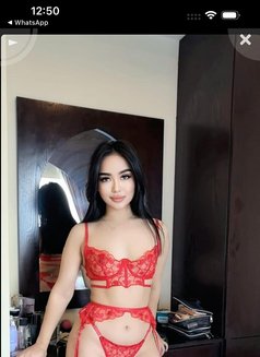 Bella ( Incall or Outcall Full Service - escort in Al Manama Photo 1 of 8
