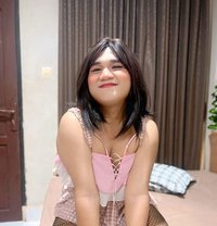 Bella - Transsexual escort in Bali