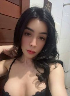 Bella - Transsexual escort in Bali Photo 11 of 12