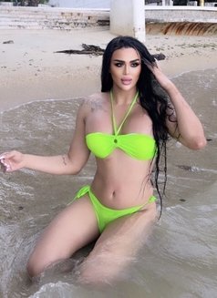 Bella_ISTANBUL dominant 🦶🏻 - Transsexual escort in İstanbul Photo 8 of 12