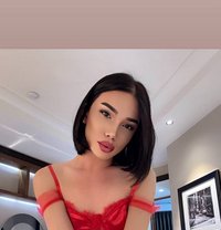 Bella 🇰🇿 - Transsexual escort in Baku