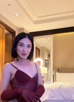 Bella 🇰🇿 - Transsexual escort in İstanbul Photo 19 of 22