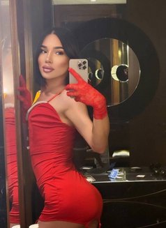 Bella 🇰🇿 - Transsexual escort in Baku Photo 6 of 8