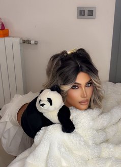 Bella - Transsexual escort in Beirut Photo 23 of 24