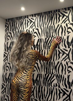 Bella - Transsexual escort in Beirut Photo 4 of 4