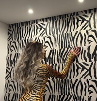 Bella - Acompañantes transexual in Beirut Photo 1 of 2