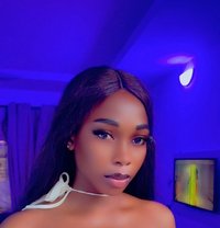 Bella Massage - escort in Al Ain