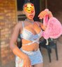PUSSY FROM KENYA 3000 FOR 1 HOUR - escort in New Delhi Photo 4 of 4