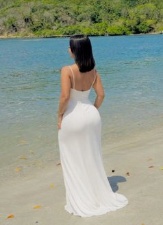 Luna new in Dubai - escort in Dubai Photo 3 of 4