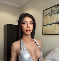 Bella new lady boy - Acompañantes transexual in Riyadh