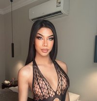 Bella new lady boy - Transsexual escort in Riyadh