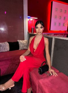 Bella big dick - Transsexual escort in Riyadh Photo 10 of 13