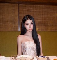 BELLA CAN GO NOW - Transsexual escort in Bangkok