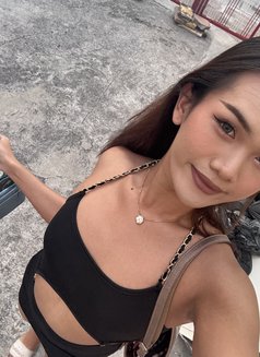 Bella Special Massage - Transsexual escort in Pattaya Photo 2 of 8