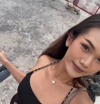 Bella Special Massage - Transsexual escort in Pattaya