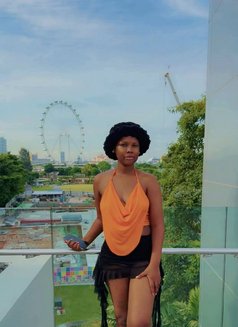 Bella - escort in Phuket Photo 5 of 14