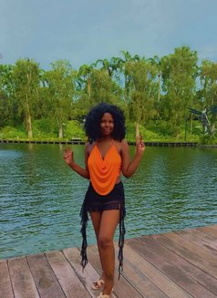 Bella - escort in Phuket Photo 6 of 14