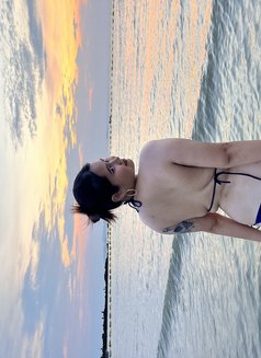 Bella - escort in Bangkok Photo 6 of 6