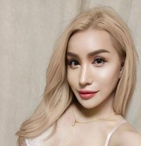 bella 🥒 - Transsexual escort in Bangkok