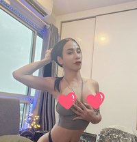Bella - Acompañantes transexual in Bangkok