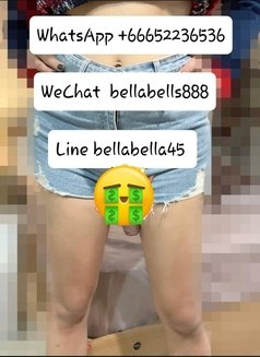 bella 🥒 - Transsexual escort in Bangkok Photo 20 of 21